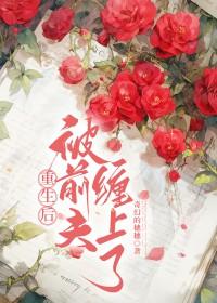 重生后被前夫他哥