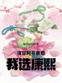 清穿被康熙和阿哥们抢着睡