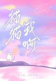 猫猫我啊嘴硬心软没辙了