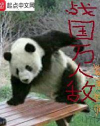 战国万人敌百科