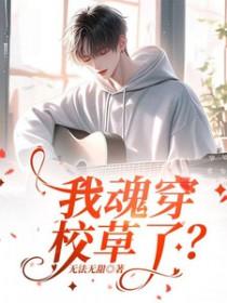 我魂穿了爱豆的cp