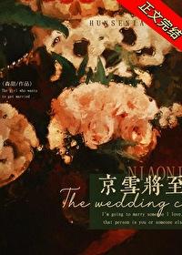 京雪将至是双洁吗