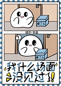 我什么场面没见过这场面我真没见过什么意思