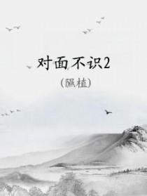 对面不识是什么意思