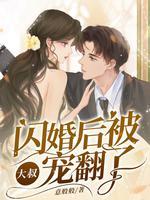 闪婚大叔宠妻成瘾