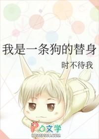 我是一条狗的替身排雷