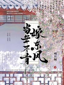 当年不肯嫁东风讲的什么