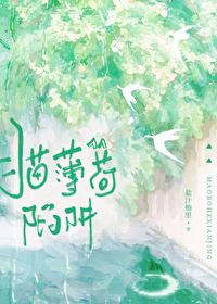 猫薄荷陷阱by盐汁柚里