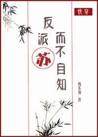 反派苏而不自知第二部