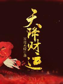 天降财运徐方TXT