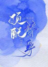 顶配替身临安教