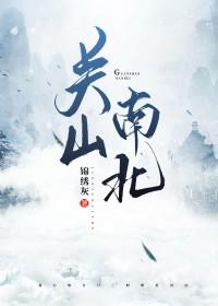 关山南北TXT