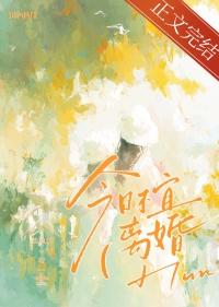 今日不宜离婚免费阅读