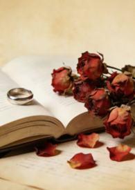 代价一般多少钱一公里合适