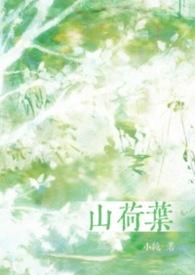 山荷叶合剂减肥效果好吗