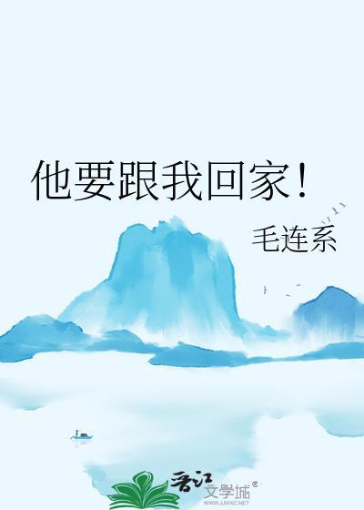 我要跟他回家是什么歌