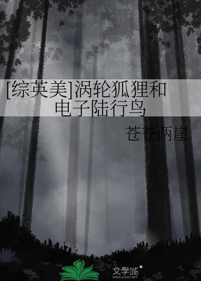 综英美涡轮狐狸和电子陆行鸟