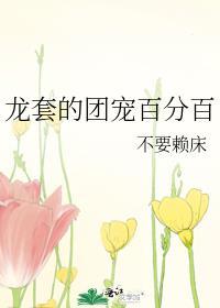 龙套团队