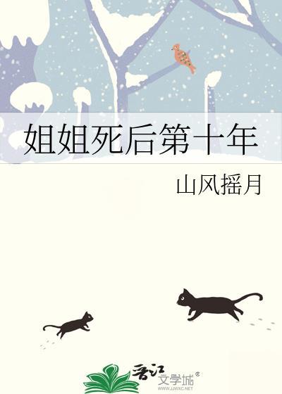 姐姐死后我嫁给了姐夫