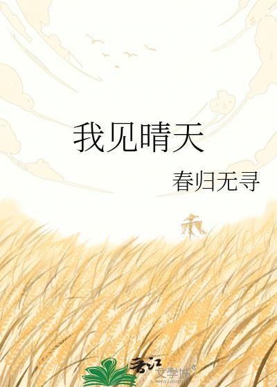 我见晴天晋江