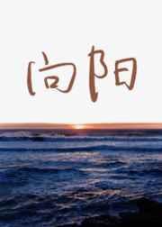 向阳而生电视剧全集在线观看免费播放