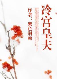 冷宫皇夫第二部最新章节更新内容