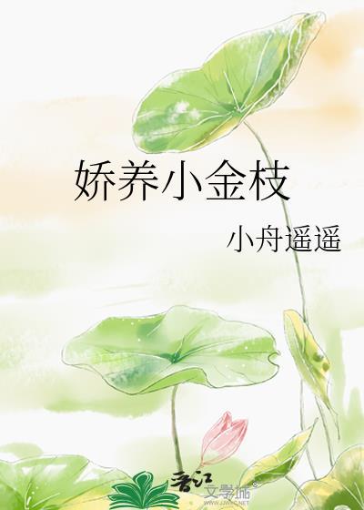 娇养小金枝小舟遥遥