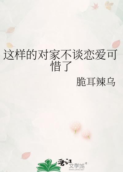 对家到底是什么意思