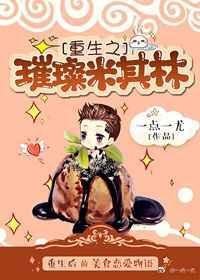 重生之璀璨米其林免费阅读
