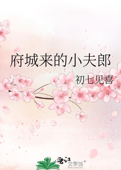 府城来的小夫郎TXT资源