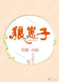 狼崽子视频
