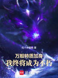 我加载了武道破限面板TXT