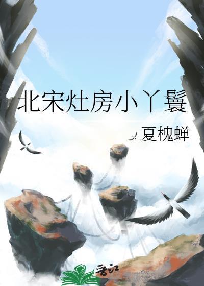 北宋灶房小丫鬟 夏槐蝉