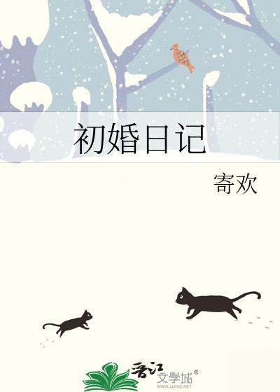初婚日记百度