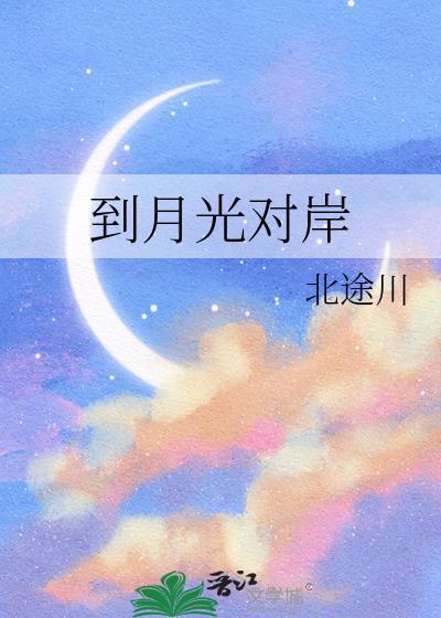 到月光对岸txt