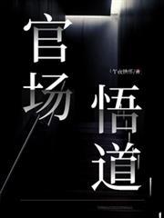 官场感受