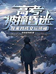 第一章高考车祸?