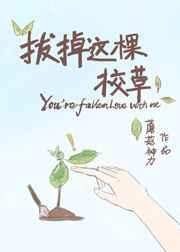 拔了这棵草什么意思