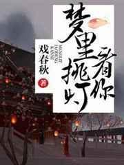 梦里挑灯看剑什么意思