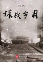 我的谍战岁月txt百度