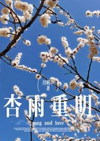 杏雨重明（破镜重圆）